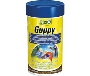 Fisk - Tetra Guppy 100 Ml. - T129047