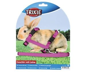 Smådyr - Trixie Harness with leash rabbits 25–44 cm/10 mm 1.25 m - Assorted - TX6260