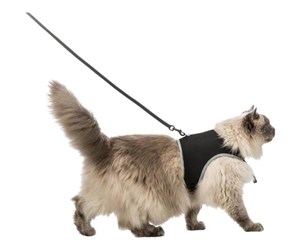 Katt - Trixie Soft harness cat with leash XXL 36–54 cm 1.20 m black - TX41895