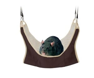 Smådyr - Trixie Hammock for Small Animals Assorted Colors 30x30cm - TX62692