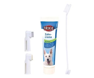 Hund - Trixie Dental hygiene set dog 100 g - TX2561