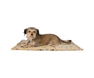 Hund - Trixie Laslo blanket fleece 150 × 100 cm beige - TX37203