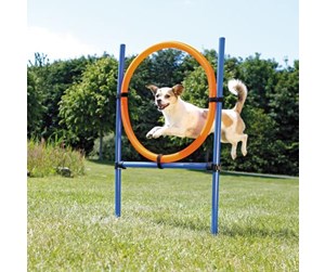 Hund - Trixie Fun Agility ring plastic 115 × ø 3 cm ø 65 cm blue/orange - TX3208