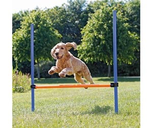 Hund - Trixie Dog Fun Agility Hurdle 123x115cm - TX3207