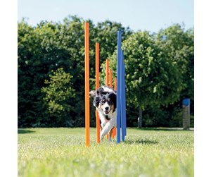 Hund - Trixie Fun Agility slalom plastic ø 3 × 115 cm 12 pcs. blue/orange - TX3206