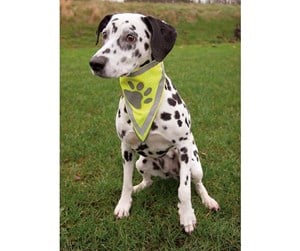 Hund - Trixie Neckerchief reflective S–M: 29–42 cm - TX30122