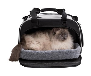 Katt - Trixie Valery living and transport bag 29 × 31 × 49 cm black/grey - TX28901