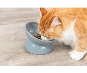 Katt - Trixie Ergonomic Feeding Bowl Ceramic  XXL 0.35L 17cm - TX24805