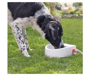 Hund - Trixie Automatic outdoor water trough 1.5 l/24 × 10 × 23 cm white - TX24395