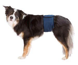 Hund - Trixie Washable Nappies for Male Dogs XL Waist 65-75cm - TX23665