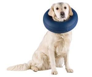 Hund - Trixie Protective Collar Inflatable M 40-45cm - TX19546