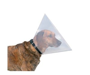 Hund - Trixie Protective collar plastic L: 44–50 cm/25 cm - TX19485