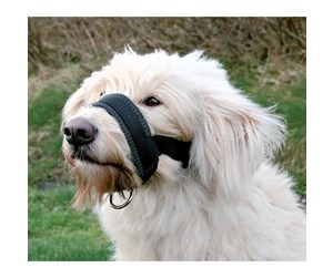 Hund - Trixie Muzzle loop nylon XL–XXL black - TX19283