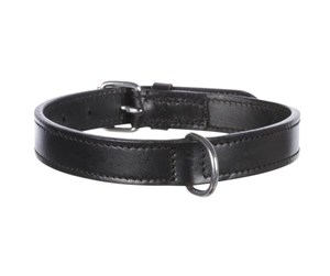 Hund - Trixie Active collar leather M: 39–46 cm/22 mm black - TX18251