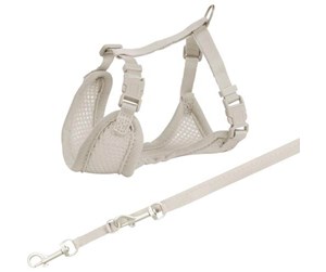 Hund - Trixie Junior puppy soft harness with leash 26–34 cm/10 mm 2.00 m light grey - TX15560