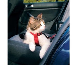 Katt - Trixie Car cat harness 20–50 cm/15 mm red - TX1294