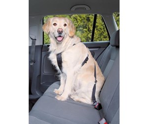 Hund - Trixie Car harness L: 70–90 cm/25 mm black - TX1292