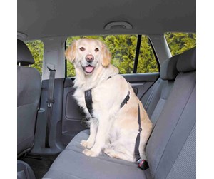 Hund - Trixie Car Harness Safety Belt L 70-90cm/25 mm Stomach Circum 70-90cm - TX1292