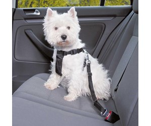 Hund - Trixie Car Harness Safety Belt XS 20-50cm/25 mm Stomach Circum 20-50cm - TX1288