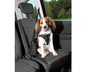 Hund - Trixie Comfort car harness L: 65–80 cm/23 mm black - TX12857