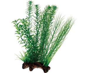 Fisk - Dohse Flora Root 2 L 30 cm - P51596