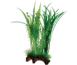 Fisk - Dohse Flora Root 1 L 30 cm - P51594