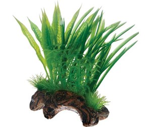 Fisk - Dohse Flora Root 1 S 17 cm - P51593