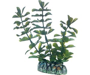 Fisk - Dohse Bacopa 13 cm - P51556