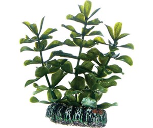 Fisk - Dohse Bacopa 7 cm - P51555