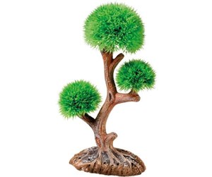 Fisk - Dohse Aqua Tree 3 15x6x26cm - P41548