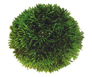 Fisk - Dohse Plant Ball 13 cm - P41542