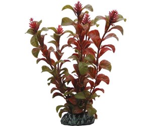 Fisk - Dohse Rotala 16 cm - P41514