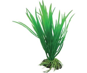 Fisk - Dohse Cyperus 16 cm - P41500