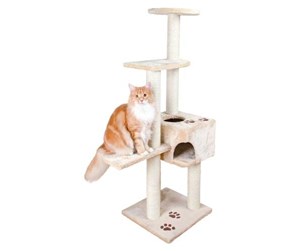 Katt - Jolly Paw Scratching post Josina 142 cm beige - JP35740