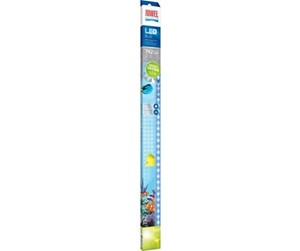 Fisk - Juwel LED Blue - 742 mm - LED Tube - J86887