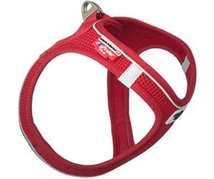 Hund - Curli Magnetic Vest Harness Air-Mesh red 2XS - H82408