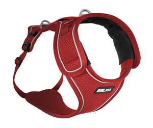 Hund - Curli Belka harness red XL - H82311