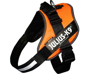 Hund - Julius-K9 IDC harness size. 4 UV Orange - H659868