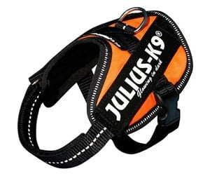 Hund - Julius-K9 IDC harness size: Baby 2 UV Orange - H659790