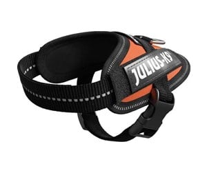 Hund - Julius-K9 IDC harness  size: Baby 1 UV orange - H659783