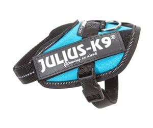 Hund - Julius-K9 IDC-harness Baby 2 Aquamarine - H645502