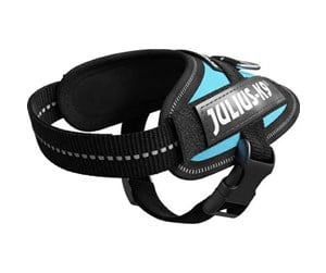 Hund - Julius-K9 IDC-harness Baby 1 Aquamarine - H645496