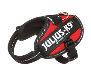 Hund - Julius-K9 IDC-harness Baby 2 red 33-45 cm - H616121