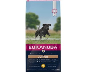 Hund - Eukanuba Developing Junior Large Breed Chicken 12KG - EH611200