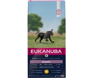 Hund - Eukanuba Puppy Large Breed 12kg - EH031200