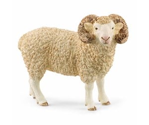 Schleich - Schleich Vær - 13937