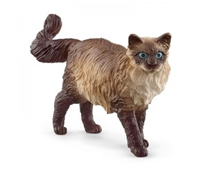 Schleich - Schleich Ragdoll Katt - 13940