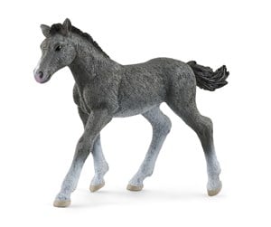 Schleich - Schleich Trakehner Føll - 13944