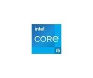 Prosessor/CPU - Intel Core i5 11600 / 2.8 GHz processor Prosessor/CPU - 6 kjerner - 2.8 GHz - Intel LGA1200 - Bulk (uten vifte) - CM8070804491513