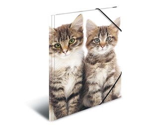 Mapper & Ordrebrett - HERMA Elasticated folder A3 PP Cats - 7143